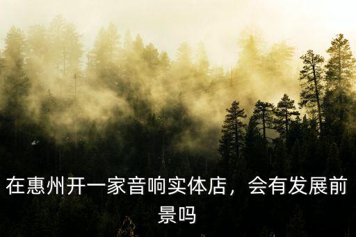 歌瑞森惠州實體店都在哪里,在惠州開一家音響實體店