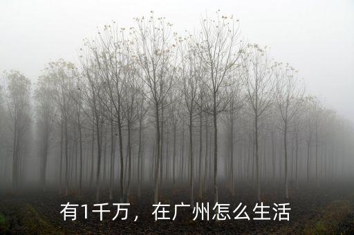 一個(gè)人怎么在廣州生活,一個(gè)人在廣東怎么生活