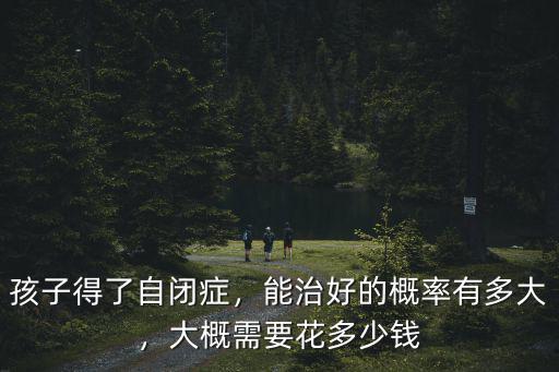 孩子得了自閉癥，能治好的概率有多大，大概需要花多少錢