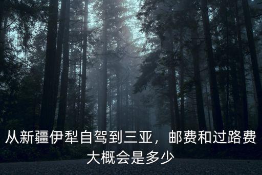 新疆到南京運費大概多少,從新疆伊犁自駕到三亞