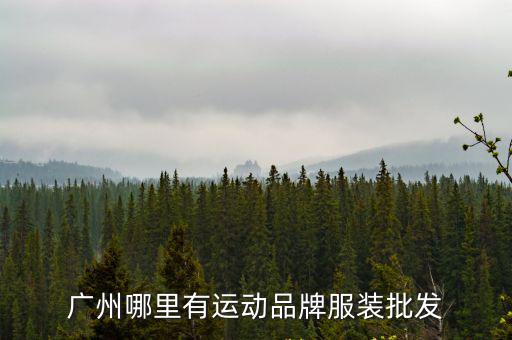 廣東運(yùn)動(dòng)裝哪里批發(fā),運(yùn)動(dòng)裝在廣州哪里有市場(chǎng)