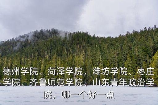 德州學院、菏澤學院，濰坊學院、棗莊學院、齊魯師范學院、山東青年政治學院，哪一個好一點