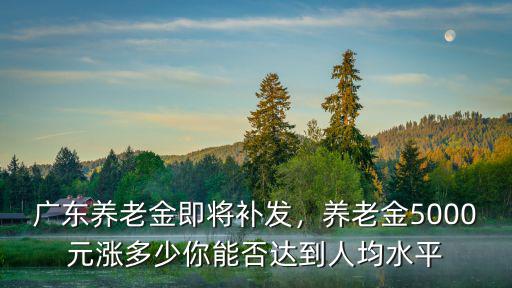 廣東養(yǎng)老金即將補(bǔ)發(fā)，養(yǎng)老金5000元漲多少你能否達(dá)到人均水平