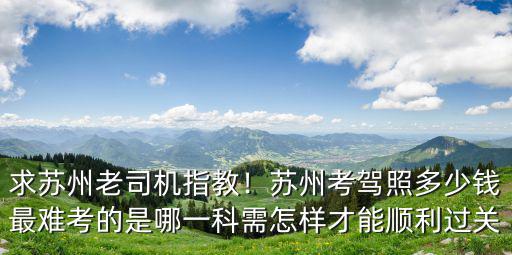 蘇州考個駕照要多少錢,求蘇州老司機指教
