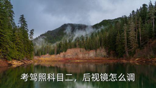 科目二湛江考試車怎么調鏡,考駕照科目二