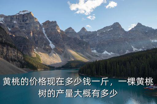 臨沂黃桃多少錢一斤,五毛一斤沒人要