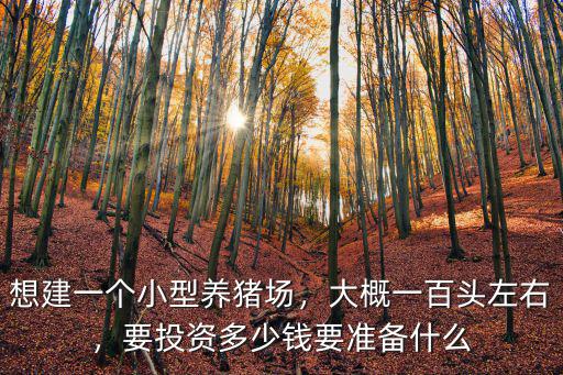 山東小型豬場多少錢,要投資多少錢