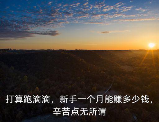 打算跑滴滴，新手一個月能賺多少錢，辛苦點無所謂