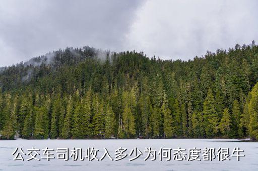 江門公交車一個(gè)月賺多少錢,司機(jī)一個(gè)月工資多少錢