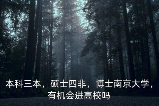 本科三本，碩士四非，博士南京大學，有機會進高校嗎