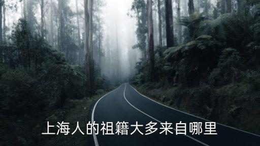 祖籍江蘇的外國(guó)人有多少,上海人的祖籍大多來(lái)自哪里