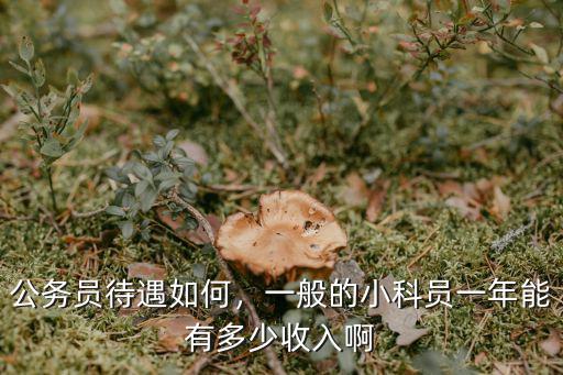 江門公務員收入怎么樣,廣東省公務員待遇怎么樣
