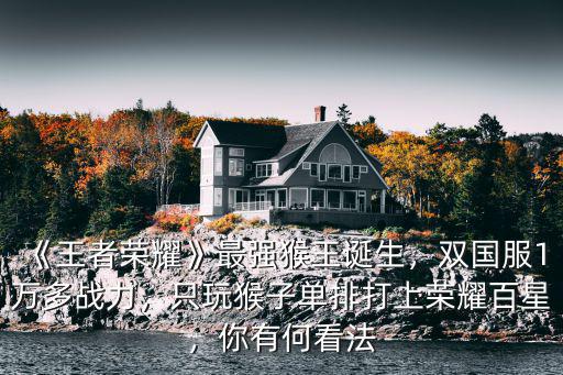 江蘇國服猴子需要多少榮耀戰力,上區服猴子要多少分