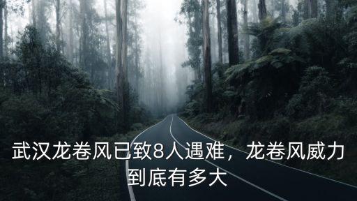 宿遷龍卷風多少人遇難,對于龍卷風你了解多少呢