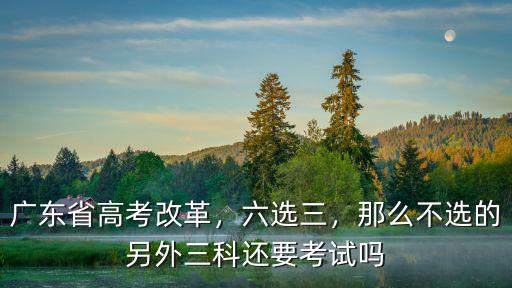 廣東省新高考的是怎么選科的,廣東省新高考方案3 1 2
