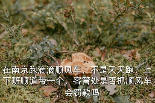南京跑順風車能掙多少,在南京跑滴滴順風車