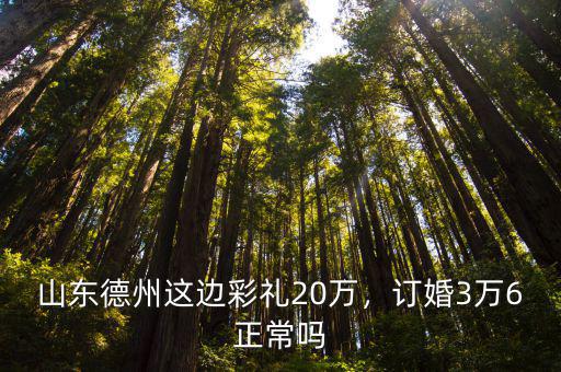 德州樂陵彩禮多少,山東德州這邊彩禮20萬