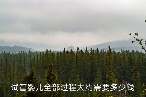 試管嬰兒全部過程大約需要多少錢