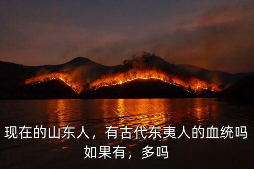 山東的漢族有多少人,有古代東夷人的血統嗎