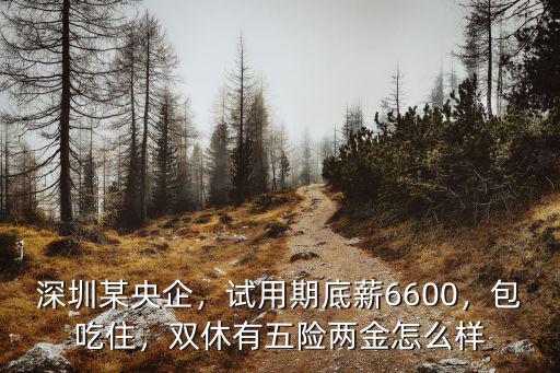 深圳某央企，試用期底薪6600，包吃住，雙休有五險兩金怎么樣