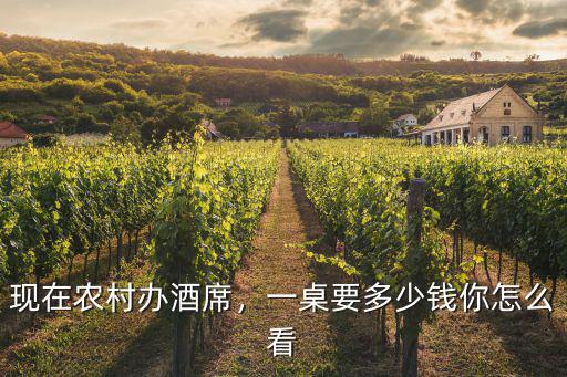 現在農村辦酒席，一桌要多少錢你怎么看