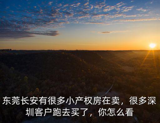 東莞長安有很多小產(chǎn)權(quán)房在賣，很多深圳客戶跑去買了，你怎么看
