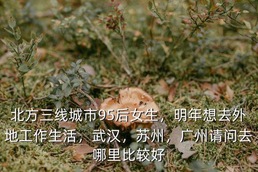 北方三線城市95后女生，明年想去外地工作生活，武漢，蘇州，廣州請問去哪里比較好