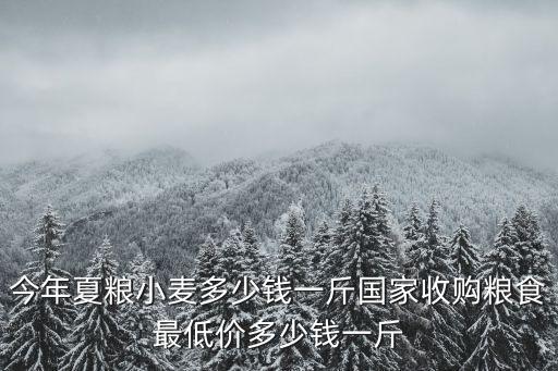 現在濰坊的小麥多少錢一斤,今年夏糧小麥多少錢一斤
