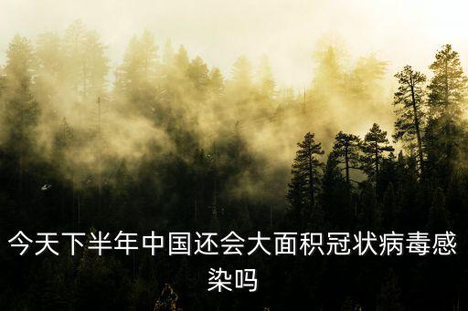 今天下半年中國還會大面積冠狀病毒感染嗎