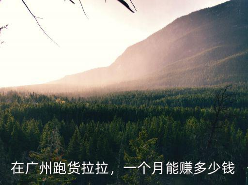 在廣州跑貨拉拉，一個月能賺多少錢