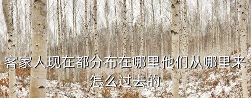 肇慶的客家人從哪里來,客家人現在都分布在哪里