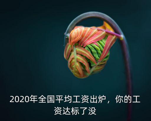 江門市2020年平均工資是多少,2020年平均工資出爐