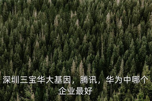 深圳三寶華大基因，騰訊，華為中哪個(gè)企業(yè)最好