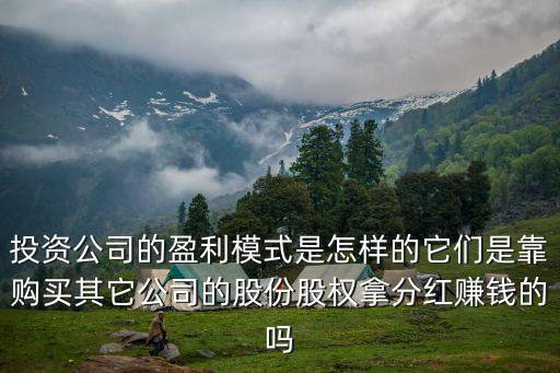 深圳投資資本公司怎么賺錢,深圳男子150萬投資期權