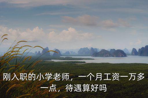 剛?cè)肼毜男W老師，一個月工資一萬多一點，待遇算好嗎