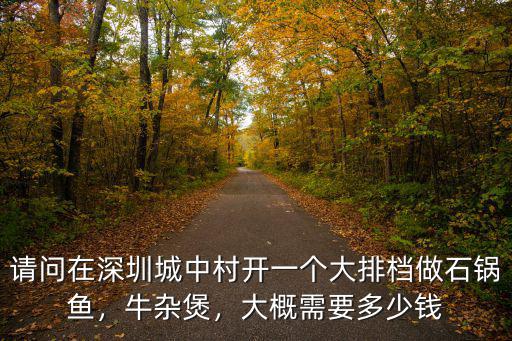 請問在深圳城中村開一個大排檔做石鍋魚，牛雜煲，大概需要多少錢