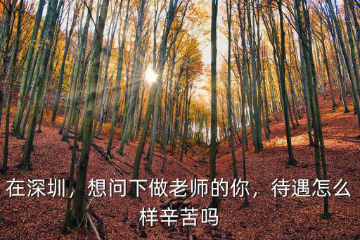 深圳的高中老師工資多少,作為一名高中老師