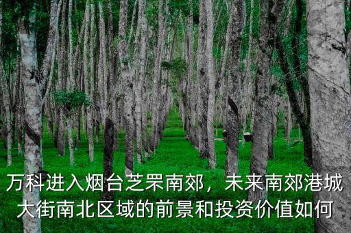 萬科進入煙臺芝罘南郊，未來南郊港城大街南北區域的前景和投資價值如何