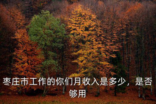 棗莊市輔警工資一月多少錢,大專輔警一般工資多少