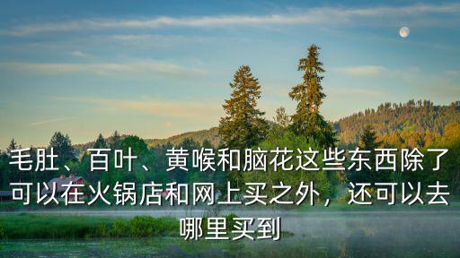 毛肚、百葉、黃喉和腦花這些東西除了可以在火鍋店和網(wǎng)上買(mǎi)之外，還可以去哪里買(mǎi)到