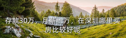 存款30萬，月薪一萬，在深圳哪里買房比較好呢