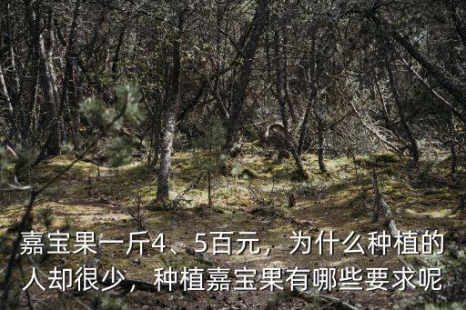 嘉寶果一斤4、5百元，為什么種植的人卻很少，種植嘉寶果有哪些要求呢