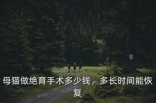 在蘇州母貓節(jié)育手術(shù)要多少錢,給母貓做絕育要花多少錢
