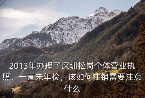 2013年辦理了深圳松崗個體營業(yè)執(zhí)照，一直未年檢，該如何注銷需要注意什么