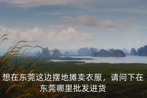 東莞哪里有便宜的衣服批發,東莞有哪些服裝批發市場