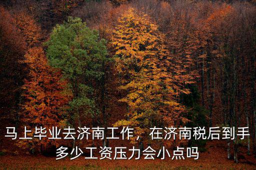 馬上畢業(yè)去濟(jì)南工作，在濟(jì)南稅后到手多少工資壓力會小點(diǎn)嗎