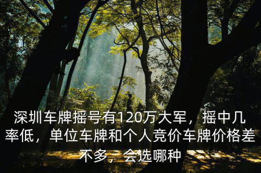 深圳哪里能搖車牌,深圳車牌搖號有120萬大軍