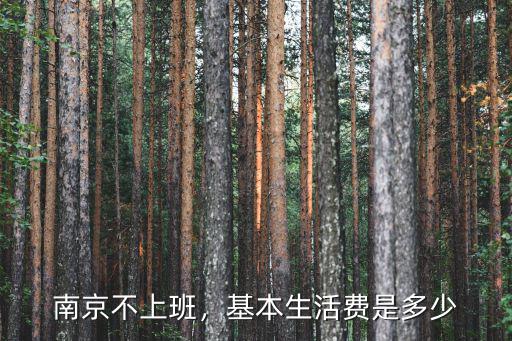 南京一個(gè)月多少錢夠生活,在南京一個(gè)月1000生活費(fèi)