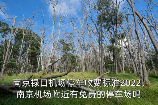 南京機場停車一個星期多少錢,南京祿口機場停車多少錢一天