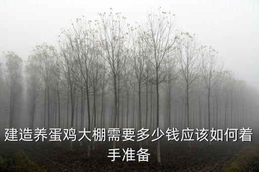 建造養(yǎng)蛋雞大棚需要多少錢應(yīng)該如何著手準(zhǔn)備